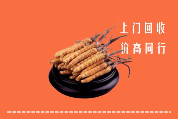 高价求购：新抚区回收散虫草