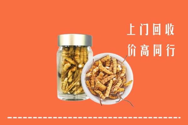 新抚区回收冬虫夏草